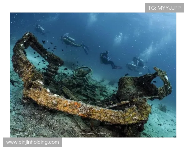 温布尔登俱乐部的历史传承与文化影响力探析